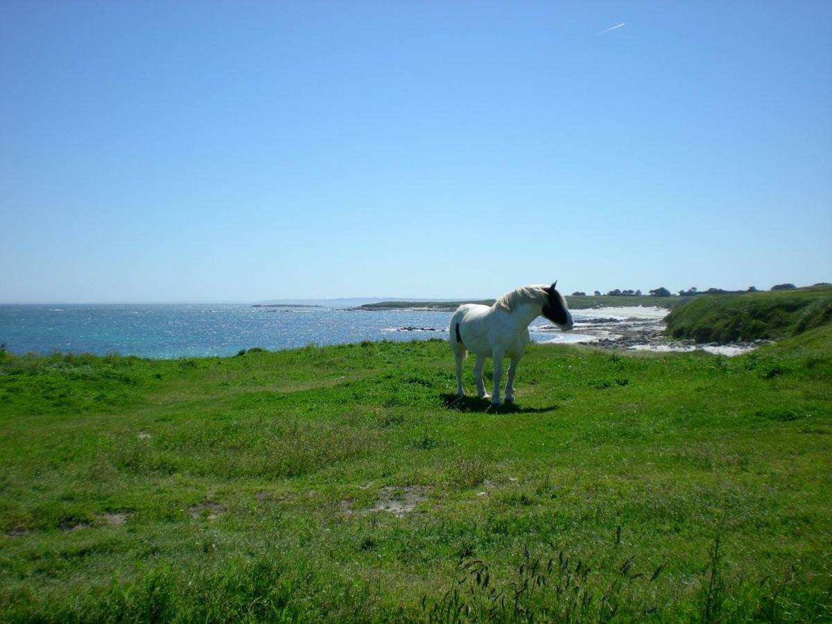 Le Studio Florent Lannion Εξωτερικό φωτογραφία